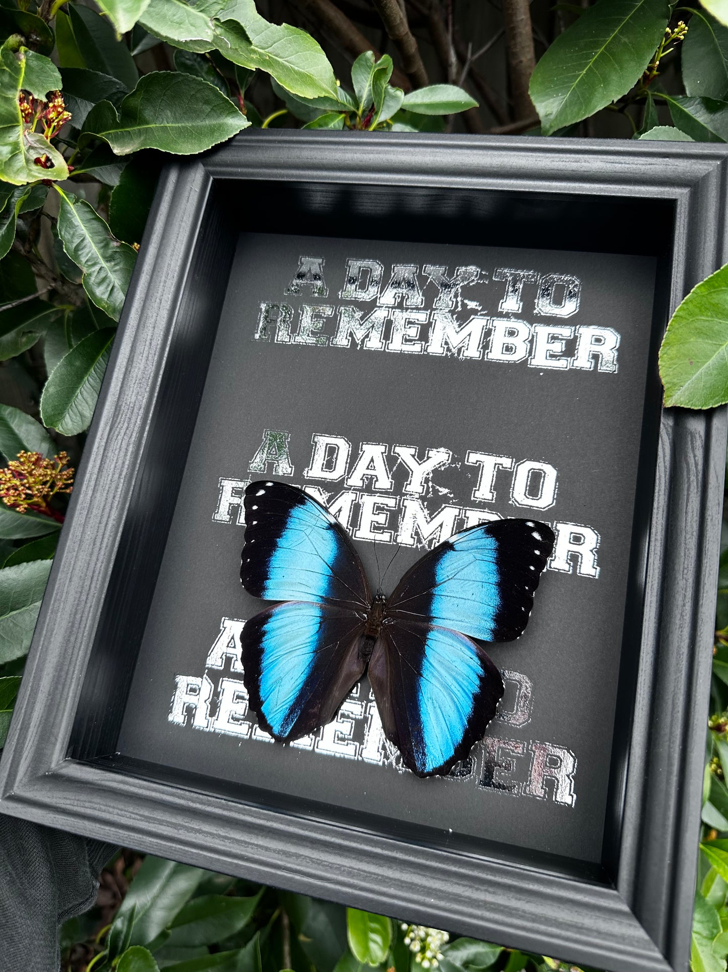 A Day To Remember