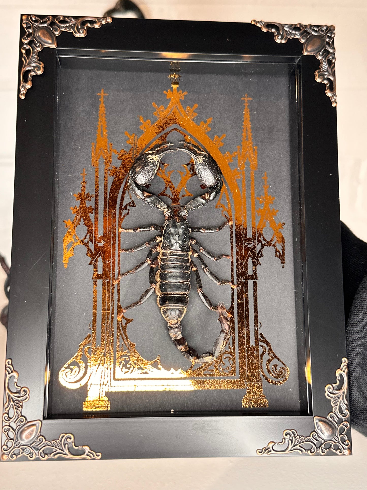 Antique scorpion