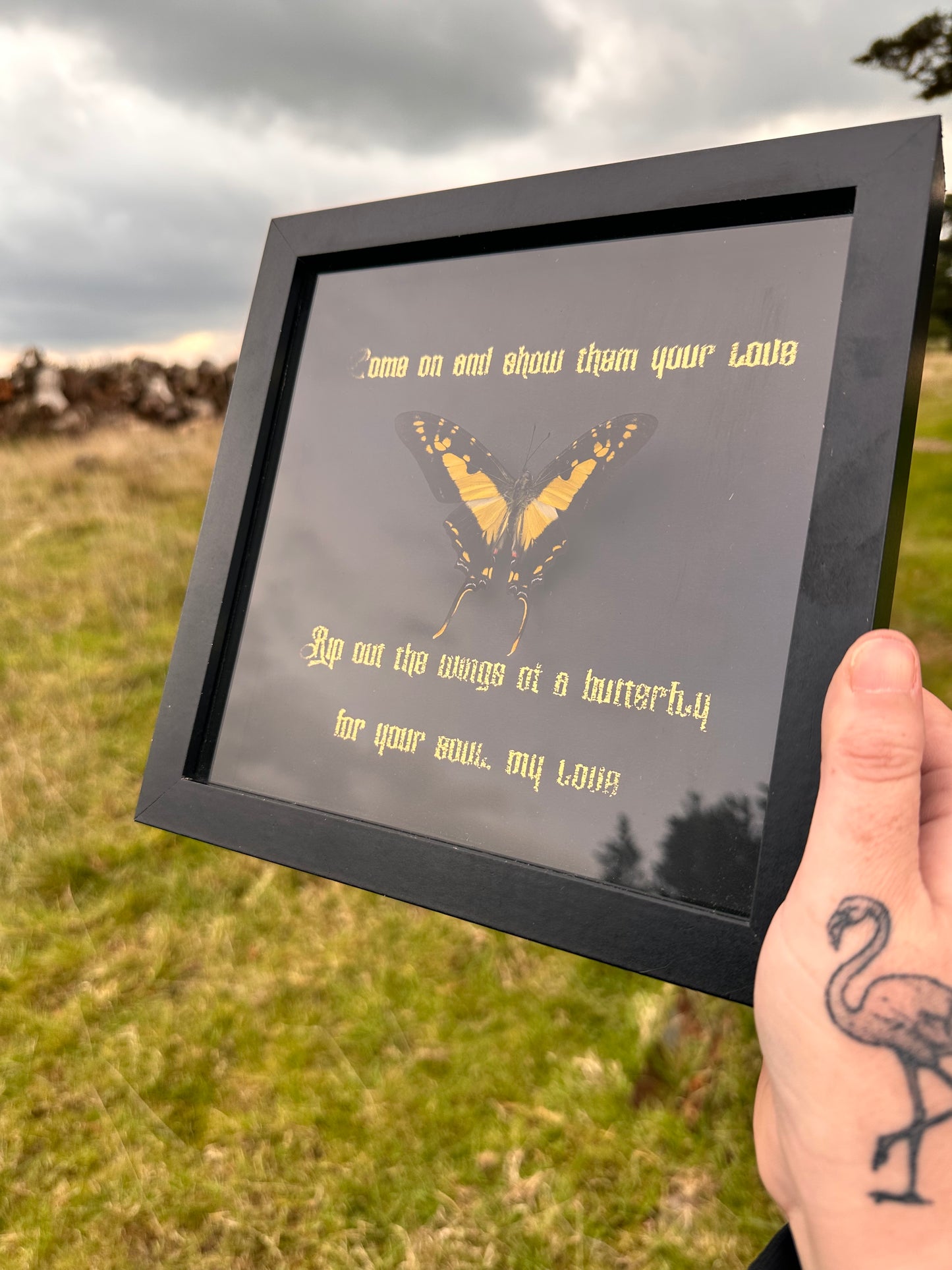 HIM Wings Of A Butterfly