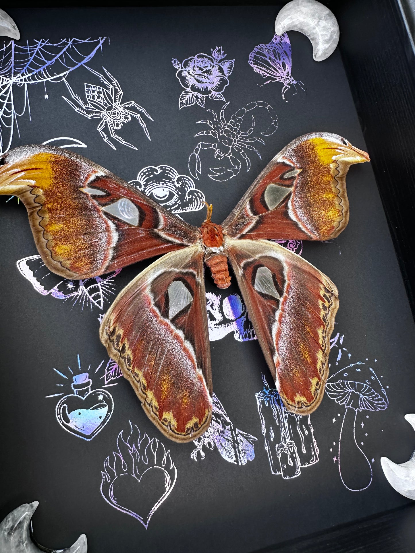 Sticker Atlas