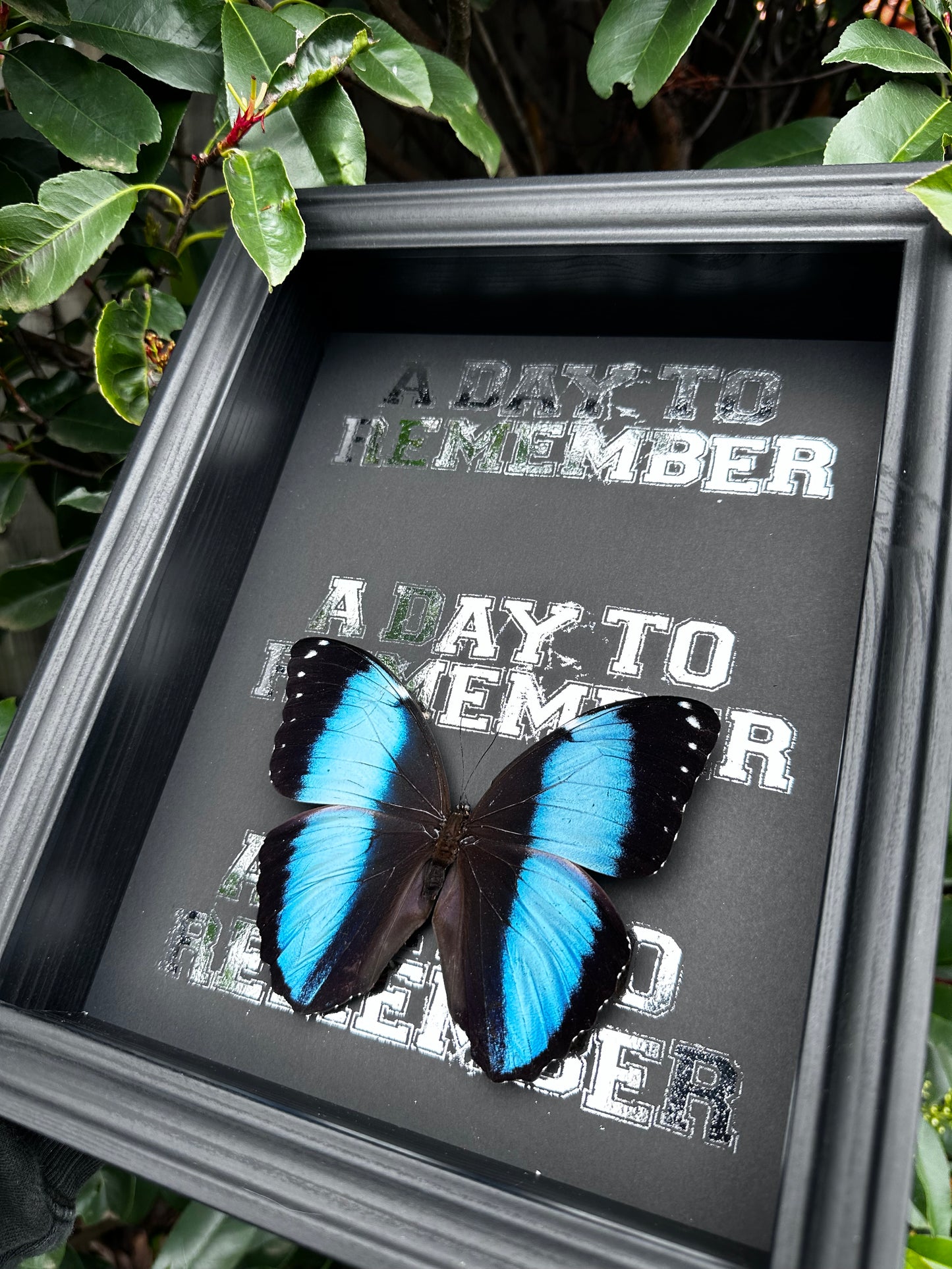 A Day To Remember