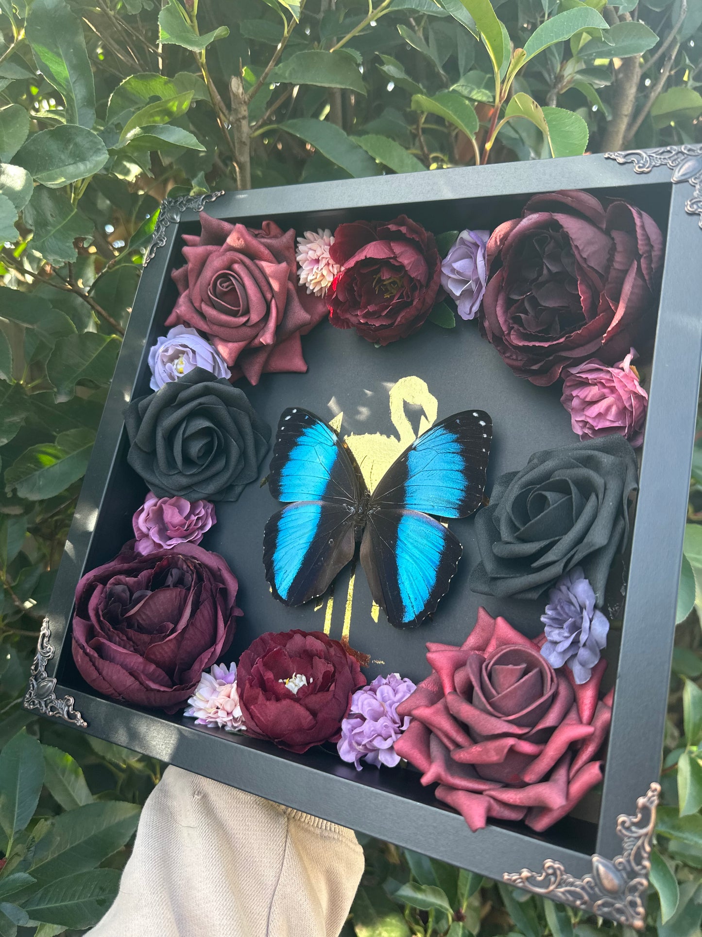 Morpho Achilles - Sleeptoken