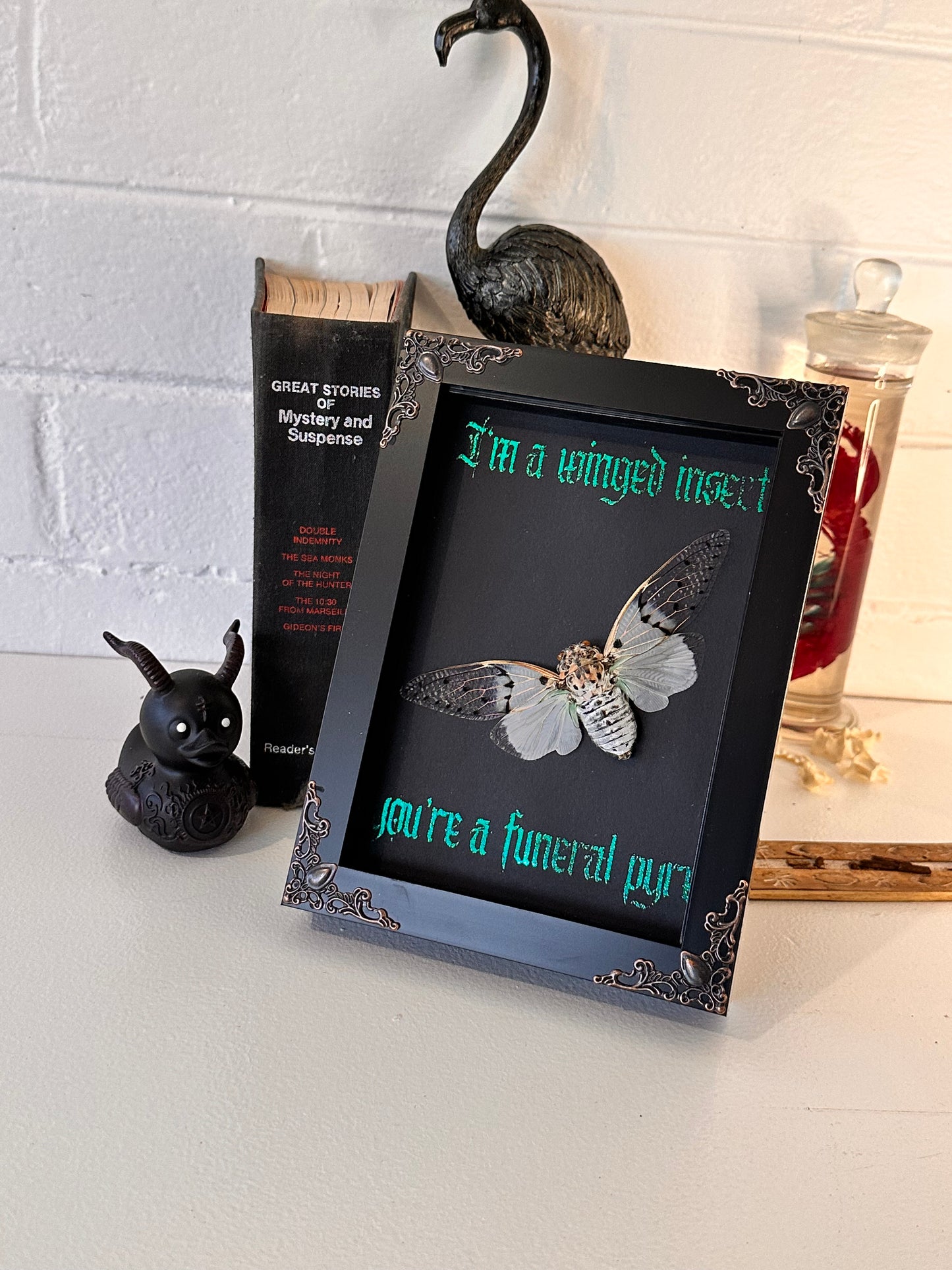 I’m a winged insect #3