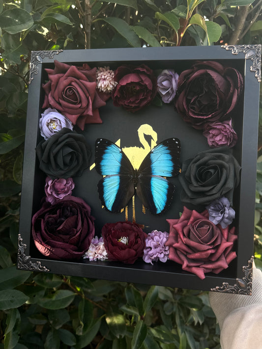 Morpho Achilles - Sleeptoken