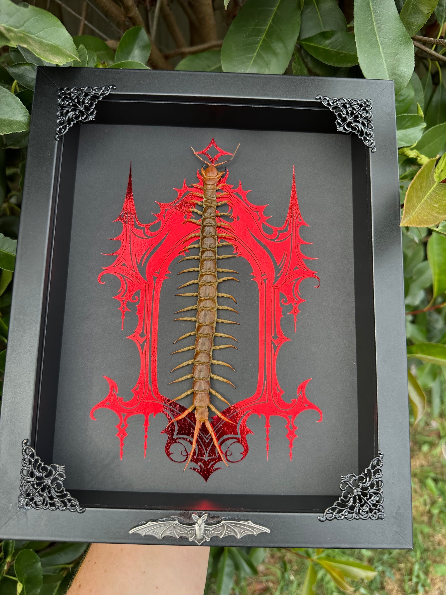 Centipede - Ozzy Osborne Tribute