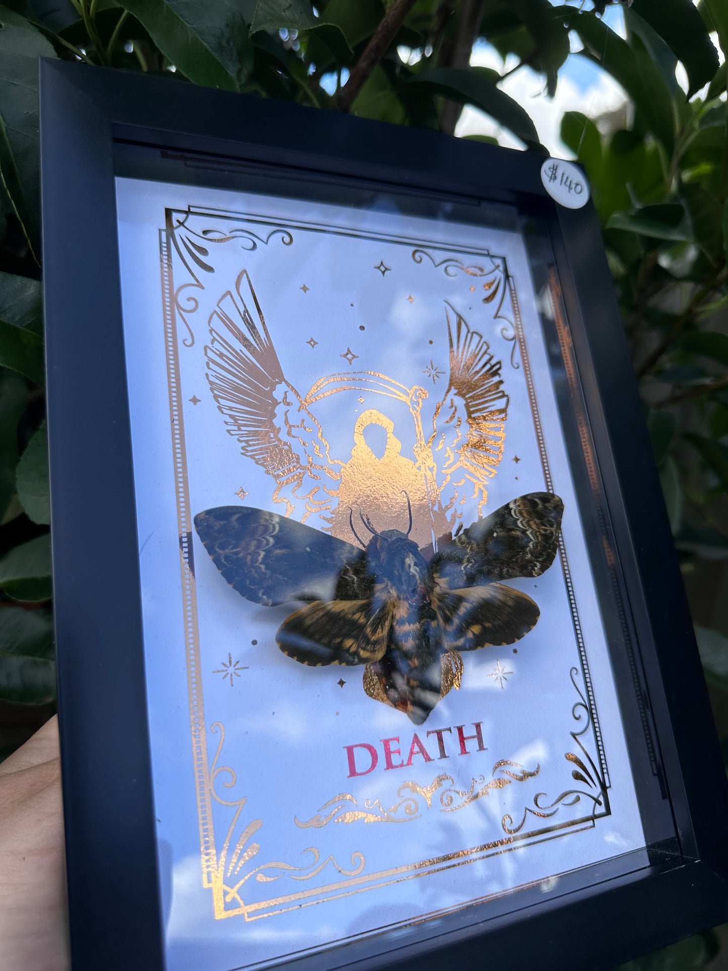 Deaths Head Moth - SleepToken in HERE ;)