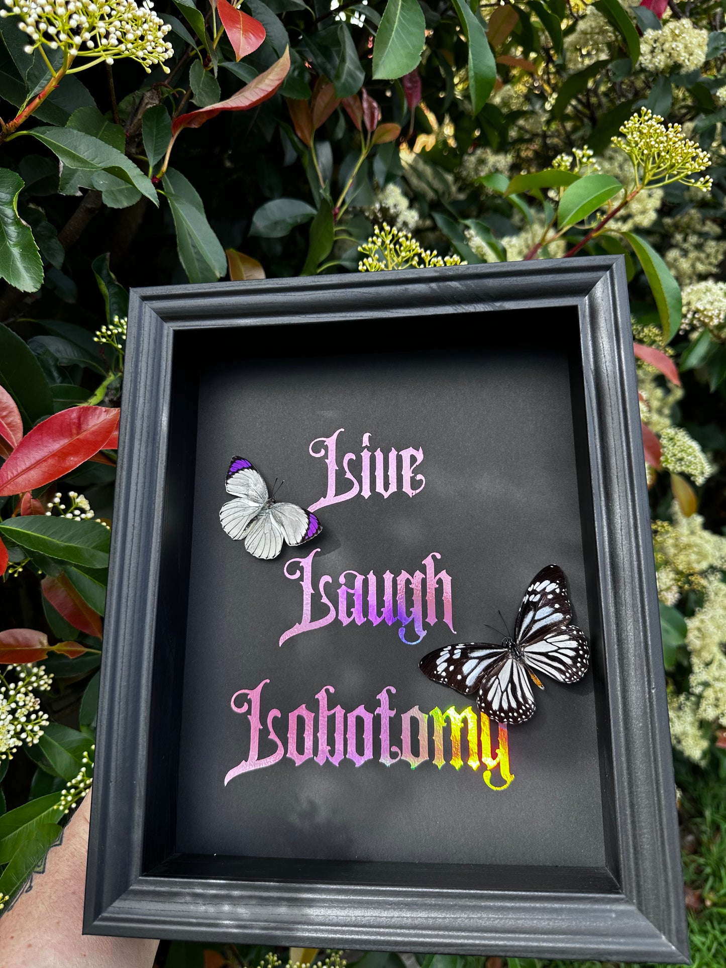 Live laugh lobotomy