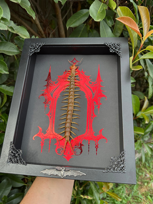 Centipede - Ozzy Osborne Tribute