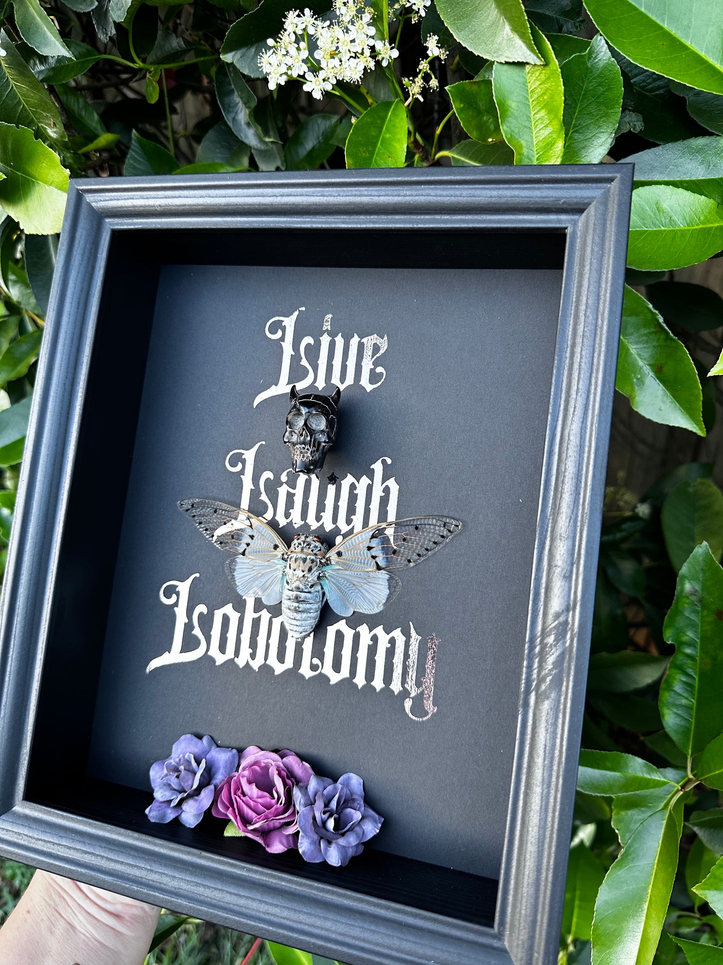 Live laugh lobotomy