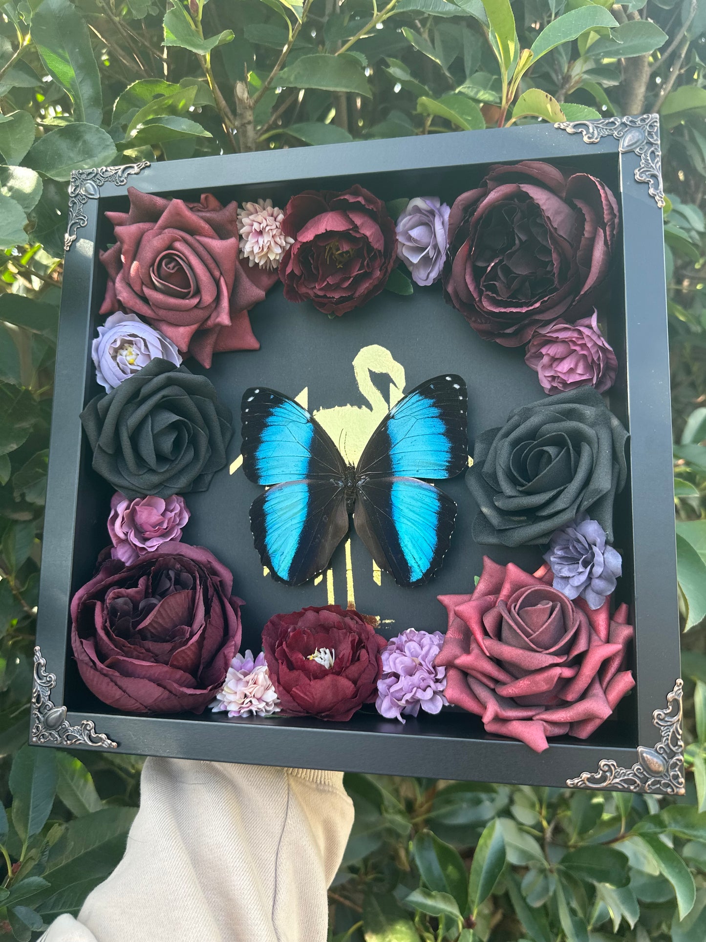 Morpho Achilles - Sleeptoken