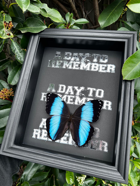 A Day To Remember