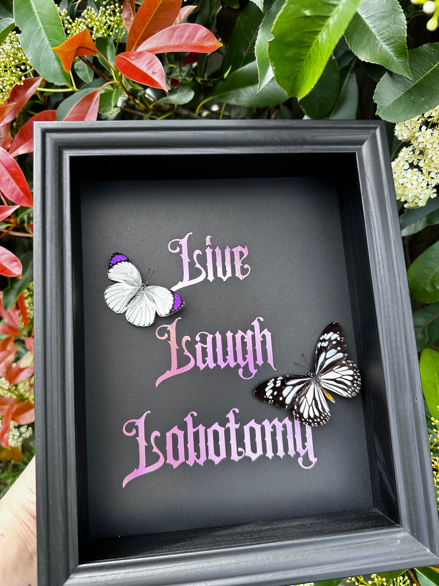 Live laugh lobotomy