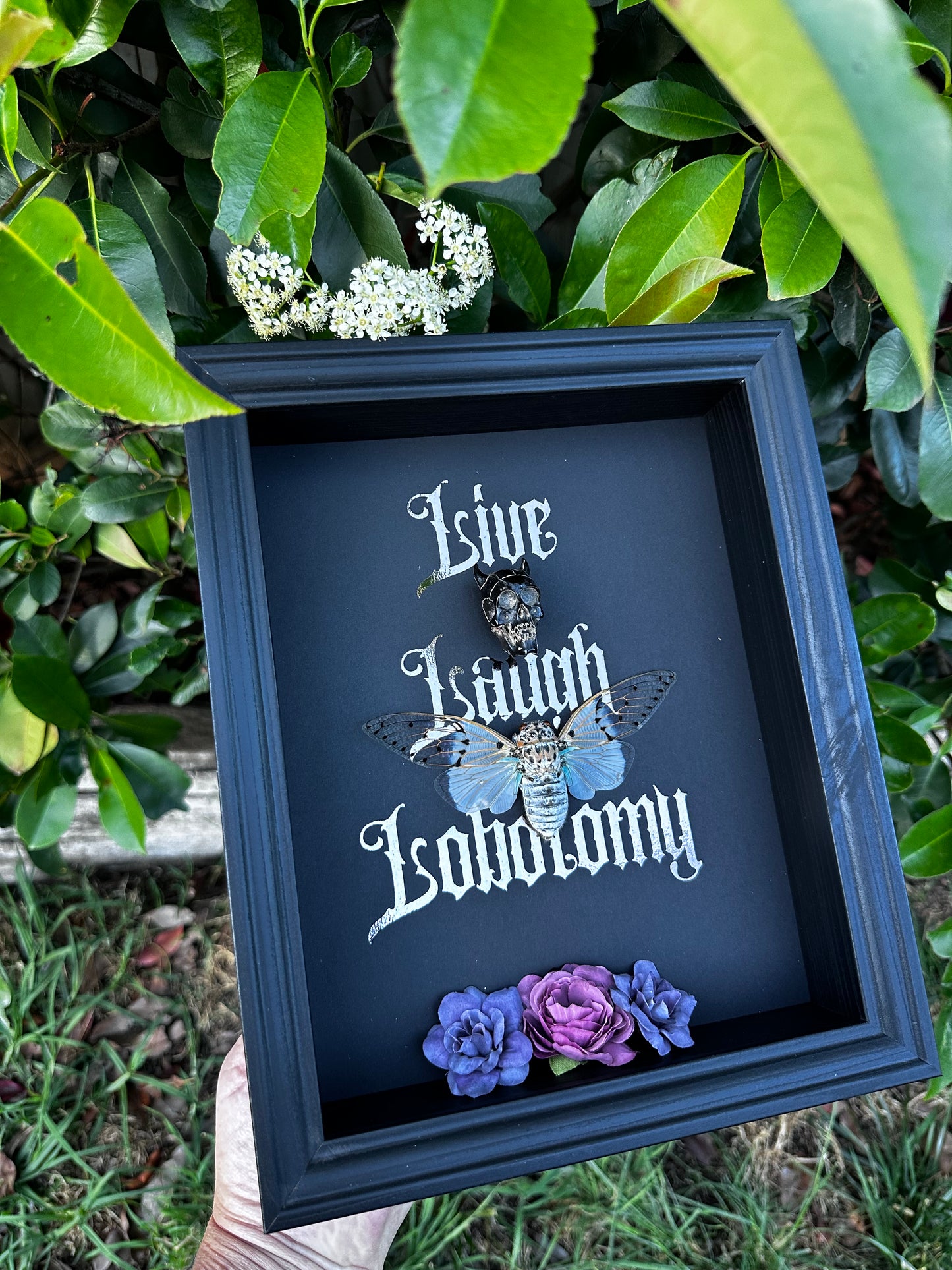 Live laugh lobotomy