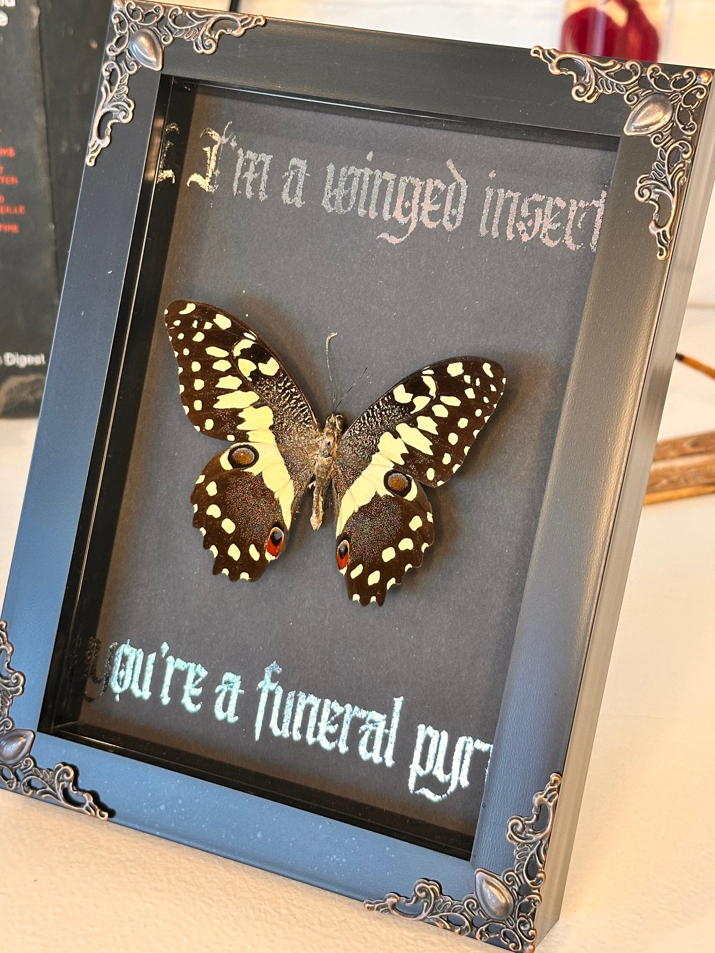 I’m a winged insect #2