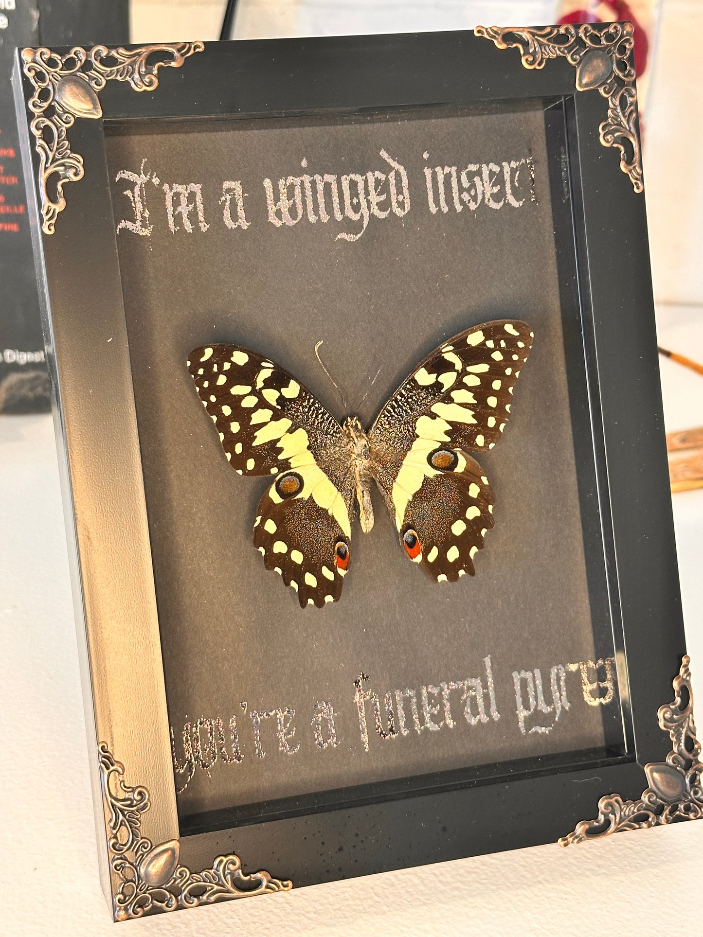 I’m a winged insect #2