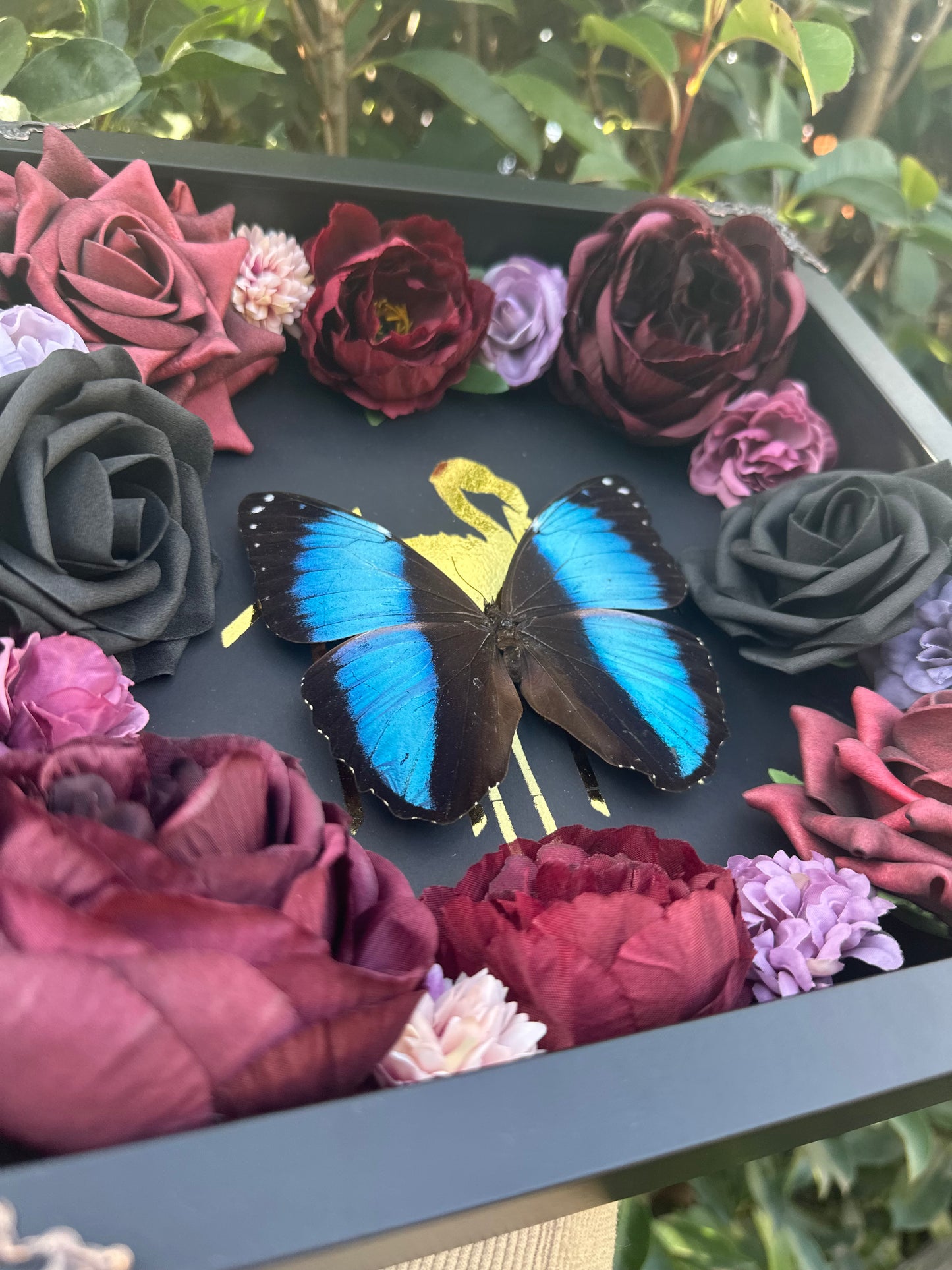 Morpho Achilles - Sleeptoken