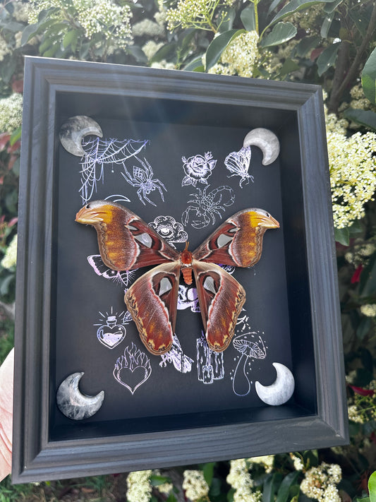 Sticker Atlas