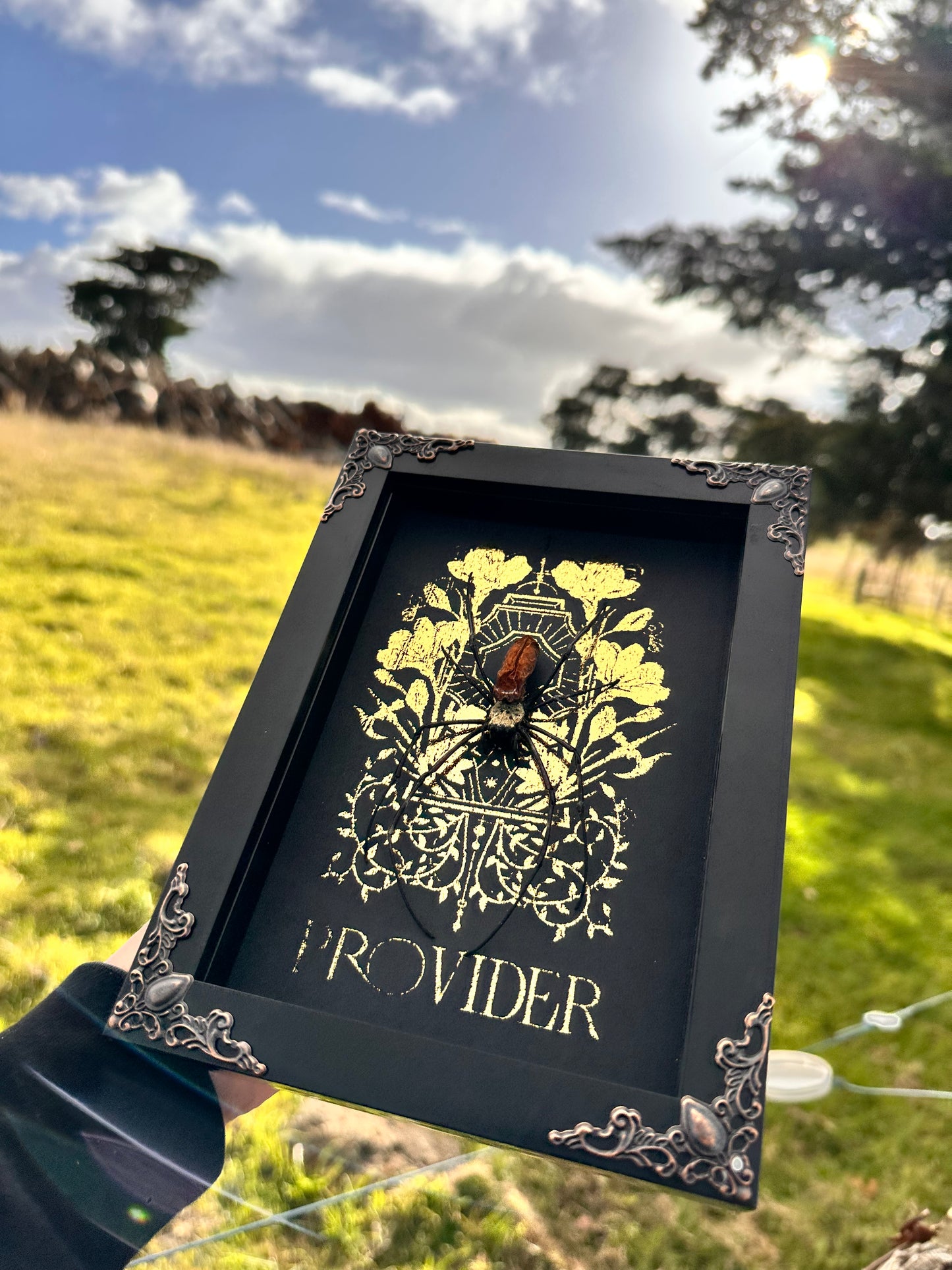 Orb Spider - Provider