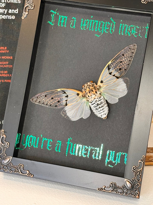 I’m a winged insect #3