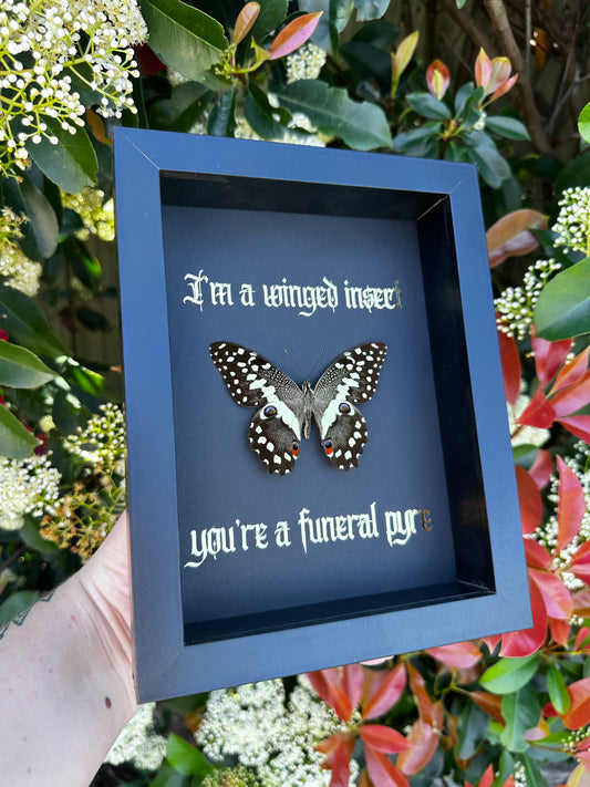 I’m a winged insect #1