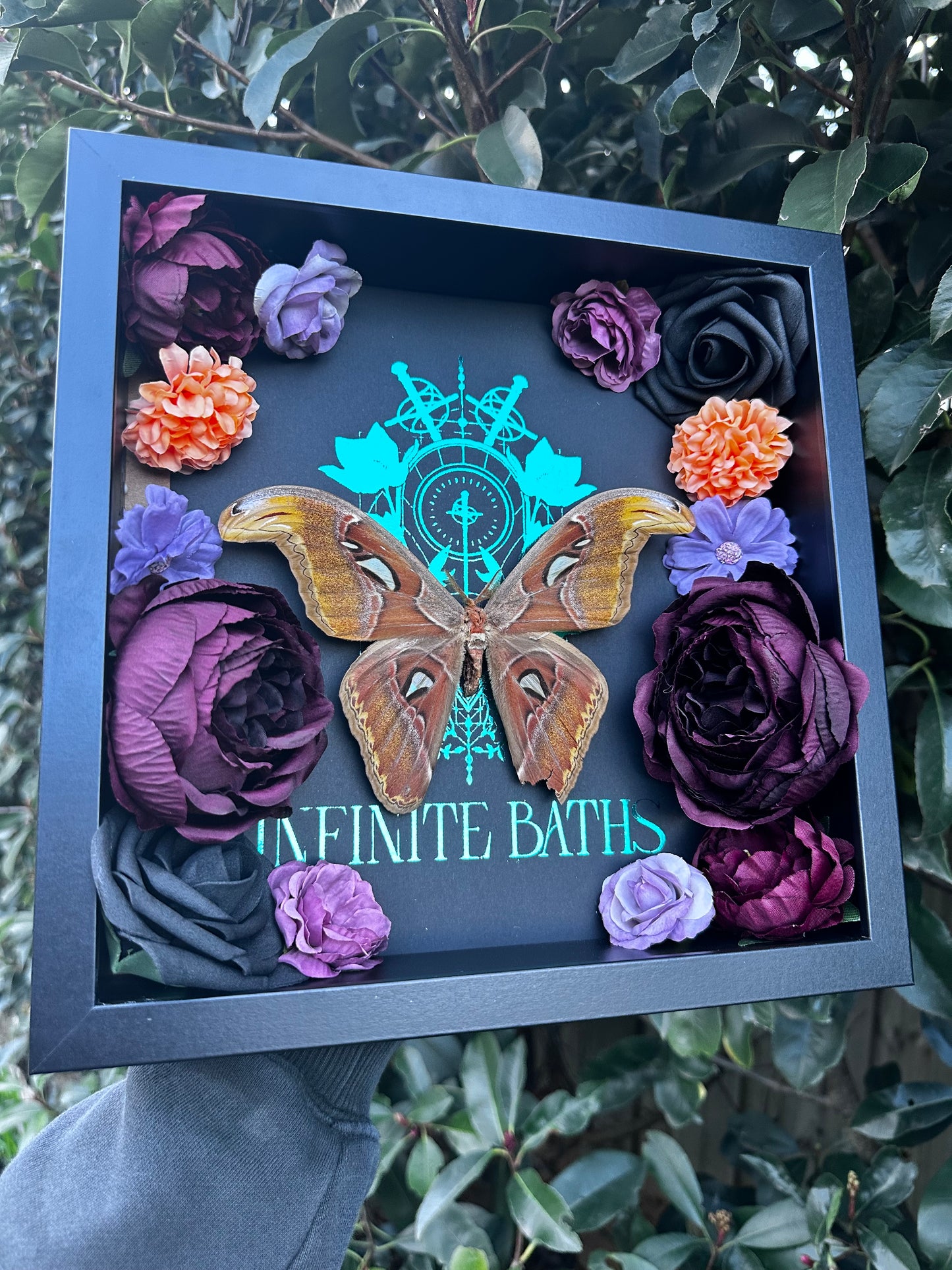 Attacus Atlas - Infinite Baths