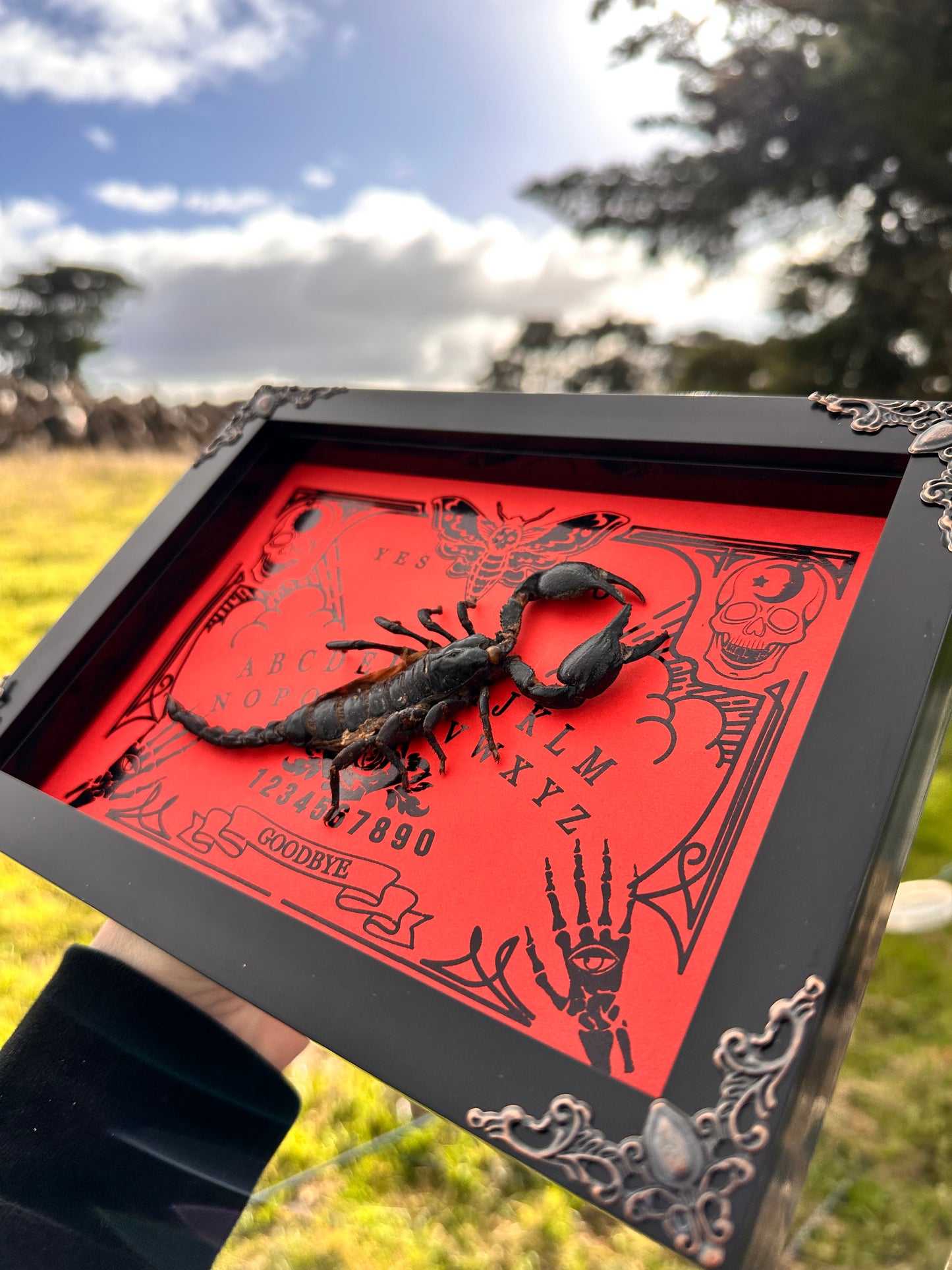 Scorpion Ouija